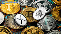 Struggling With Bitcoin's Price Swings? OAKMining BTC Work For You And Earn Daily 9777USD!
