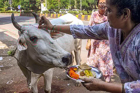 'Govatsa Dwadashi' celebrations in Mumbai