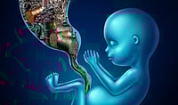 Would-Be Mom, Beware! Prenatal Air Pollution Linked To Slower Brain Maturation In Newborns