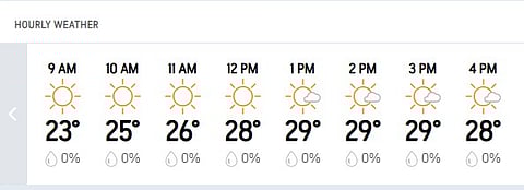 Pakistan Vs South Africa 2nd Test Day 2: Rawalpindi's Hourly Weather Forecast For Today