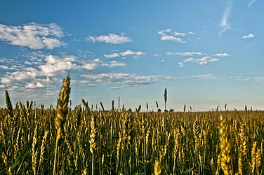 Amit Gupta Of Agrifields Is Placing India On A Path To Fertiliser Sustainability