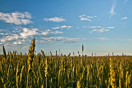 Amit Gupta Of Agrifields Is Placing India On A Path To Fertiliser Sustainability
