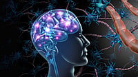 Multiple Sclerosis (MS) May Damage Brain Years Before Symptoms Appear, Says New Study