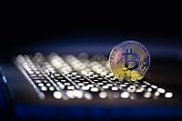 What Is Herd Mentality In Crypto Investing?