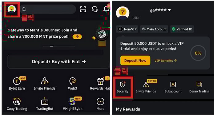 App dashboard showing deposit options and highlighted Security section.