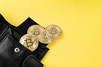 How Can Hardware Wallets Securely Manage NFTs And Web3 Credentials?
