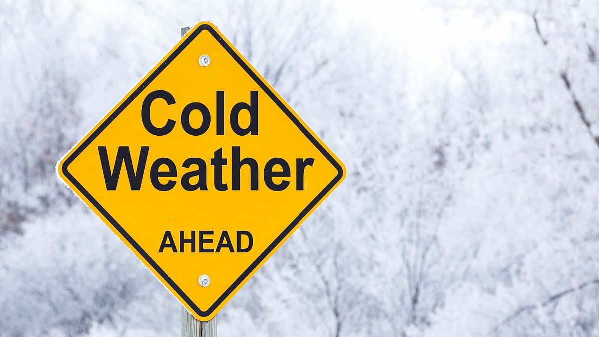 Winters Ahead: NHRC, Punjab Govt, Health Experts Warn On Cold-Related Health Risks