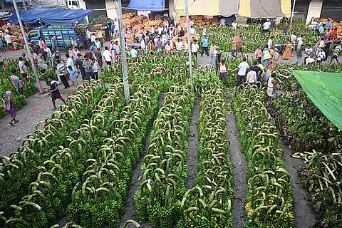 Preps for Chhath Puja