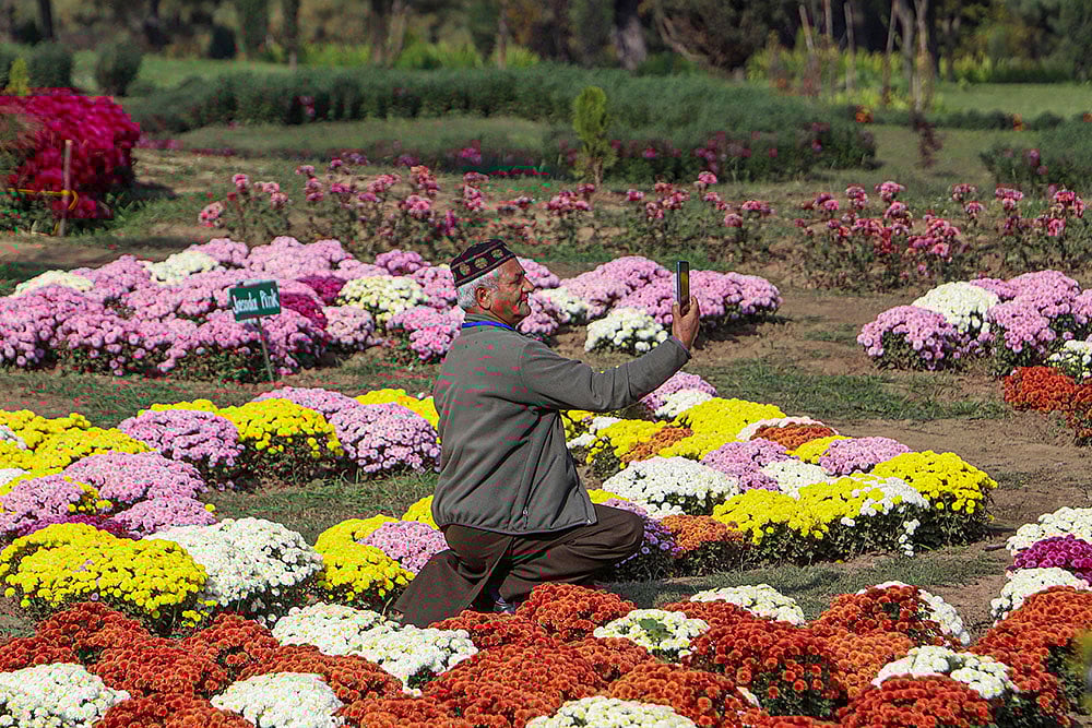 CM Omar Abdullah inaugurates J&K’s first Chrysanthemum Garden in Srinagar