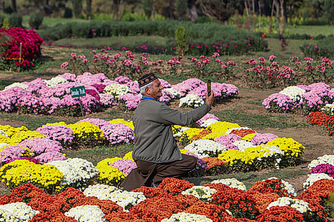 An elderly man takes a selfie with blooming flower while visiting Bagh-i-Gul-e-Dawood, Jammu and Kashmir's first exclusive Chrysanthemum Garden, at Nehru Memorial Botanical Garden, in Srinagar.