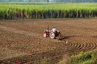 Representative image : The victim’s family alleged that Mahendra Nagar had been pressuring small farmers in the area to sell their land and that Dhakad’s refusal led to the attack. 