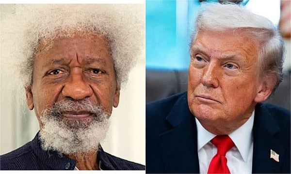 Nigerian Nobel Laureate Wole Soyinka Says US Visa Revoked After Criticising Donald Trump