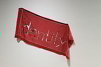 Bihar Elections: ‘What Is The Caste Of Vikas?’ Protestors (V) by Naresh Kumar : Bihar Elections: What Is The Caste Of Vikas?