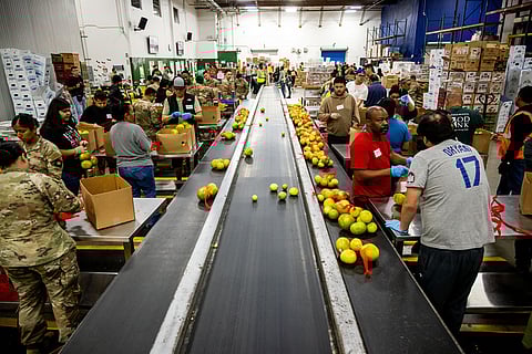 Government Shutdown: California National Guard sort produce at the Los Angeles Food Bank in Los Angeles. 