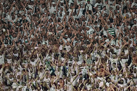 Fans of Brazil's Palmeiras cheer for their team during a Copa Libertadores semifinal second leg soccer match against Ecuador's Liga Deportiva Universitaria in Sao Paulo.