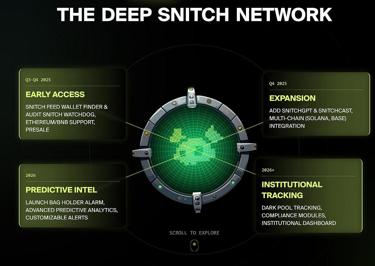 Roadmap for The Deep Snitch Network outlining plans for 2025–2026+