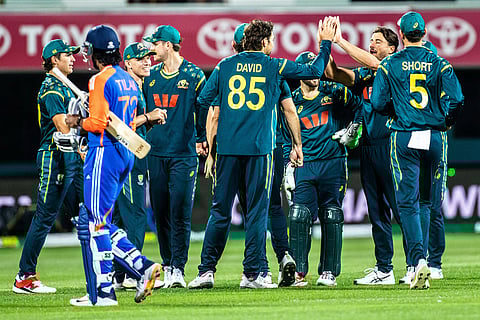 Australian players celebrate the wicket of India's Suryakumar Yadav during the T20 cricket international between India and Australia in Hobart, Australia.