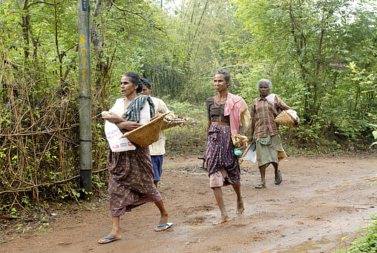 Why Do the Tribals Question Kerala’s Claim to Have Eradicated Extreme Poverty?