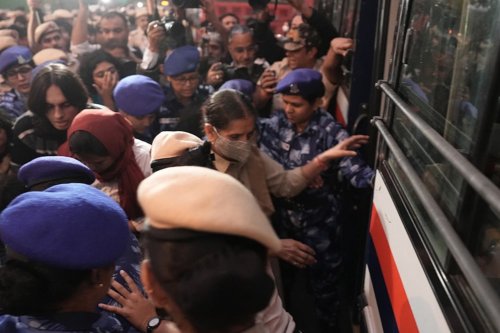 Dozens were detained at India Gate during a clean air protest in Delhi.