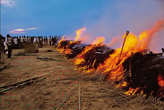 Crime Without Punishment