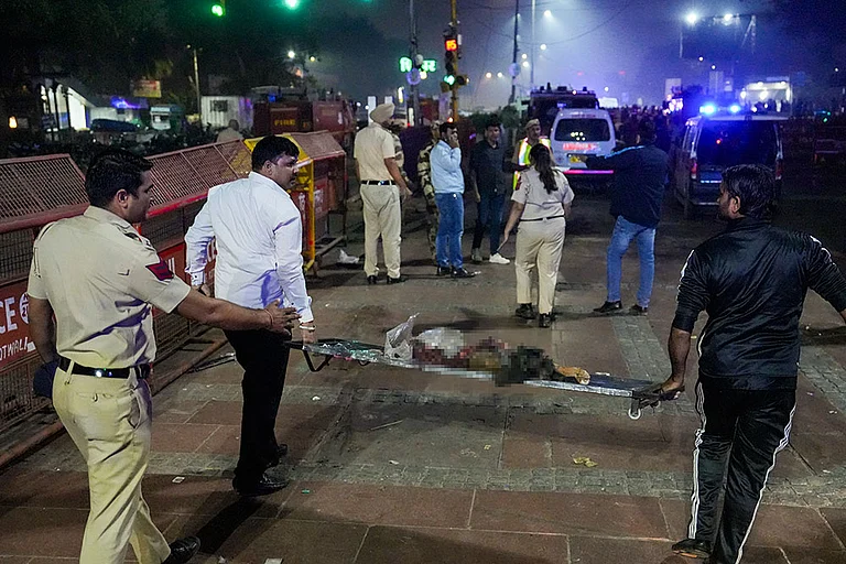 Eyewitnesses Recall Horror of Red Fort Blast: 'Severed Hands, Screams, and Fire Everywhere' - Photo: PTI/Salman Ali