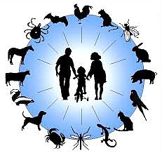 Silhouettes of humans and animals connected in a circle