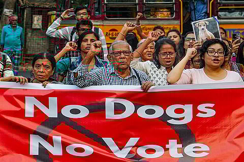 Animal rights activists and dog lovers take part in a protest march against the Supreme Court’s recent order regarding stray dogs, in Kolkata. The apex court last week took note of the "alarming rise" in dog bite incidents in institutional areas like educational centres, hospitals, bus stands and railway stations, and directed the authorities to move such canines to designated shelters.