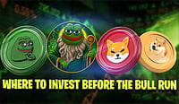 Bull Run Is Close, Do Not Miss The Next Big Opportunity: PEPE, Shiba Inu, Dogecoin And Pepeto Compared