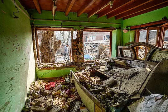 Day In Pics: November 14, 2025