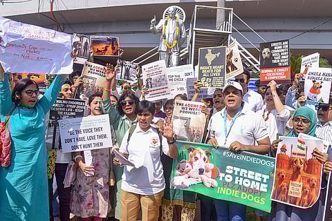 Pet lovers and members of People for Animals (PFA) Abhaya raise slogans during a protest in solidarity with stray dogs, in Hyderabad, Telangana.