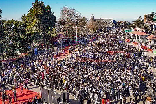 Day In Pics: November 15, 2025