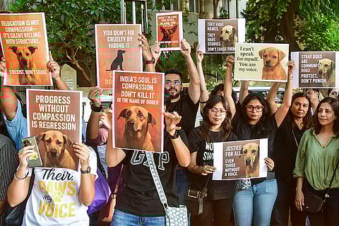 Animal lovers stage a protest against the Supreme Court's recent order directing authorities to remove stray dogs from institutional areas such as schools, hospitals, railway stations and bus stands, and shift them to designated shelters, in Mumbai.