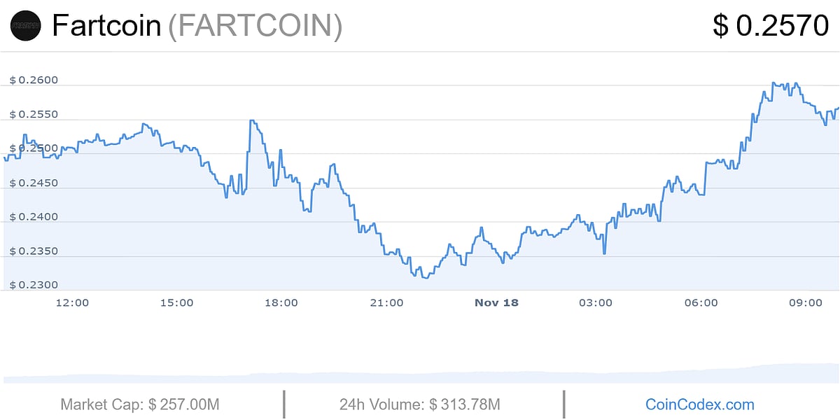 Fartcoin (FARTCOIN) banner