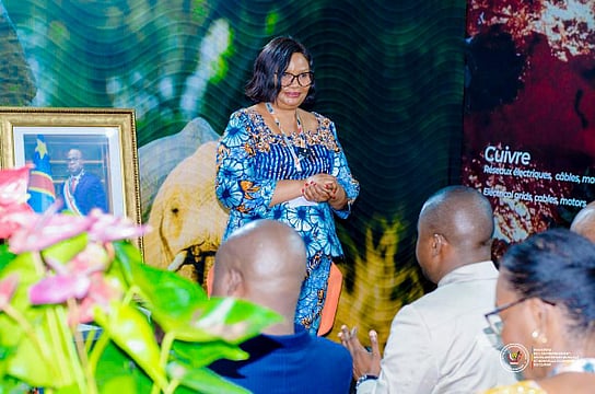 Democratic Republic Of Congo Launches National Carbon Credit Registry Initiative In Line With Its Commitments At COP30