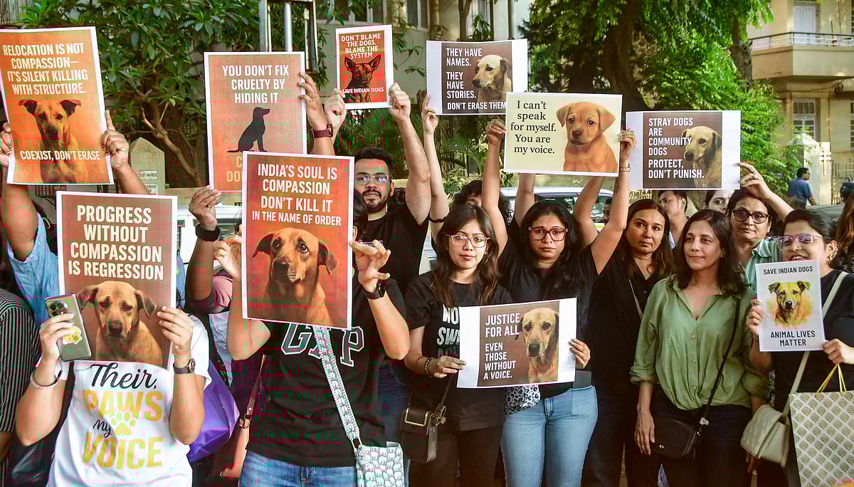Mumbai: Animal lovers stage a protest against the Supreme Court's recent order directing authorities to remove stray dogs from institutional areas such as schools, hospitals, railway stations and bus stands, and shift them to designated shelters, in Mumbai, Sunday, Nov. 16, 2025.  - PTI