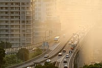 Toxic Air: From Lungs To Kidneys, From Womb To Old Age