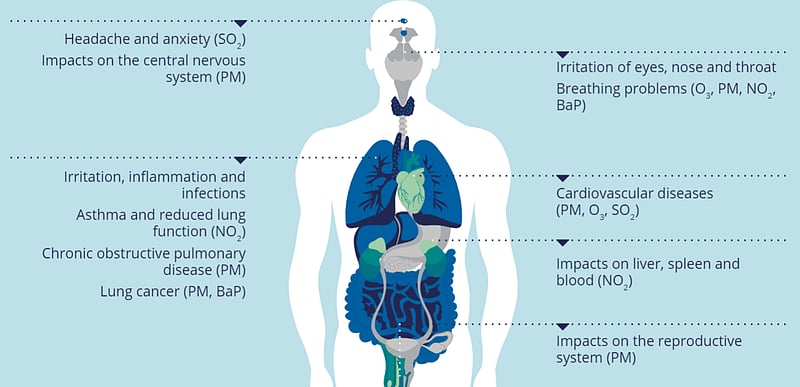 Infographic for effects of Air Pollution