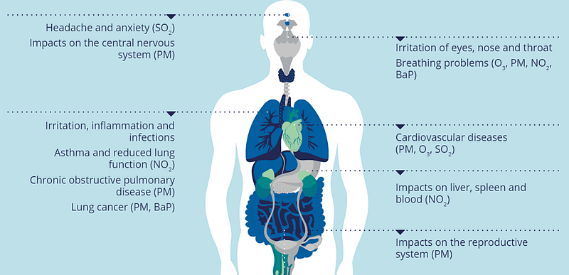 Infographic for effects of Air Pollution