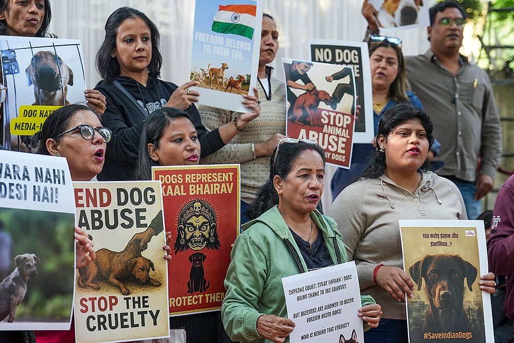 Animal lovers protest in Delhi