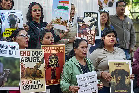Animal lovers hold placards during a protest in solidarity with stray dogs, at Jantar Mantar, in New Delhi.