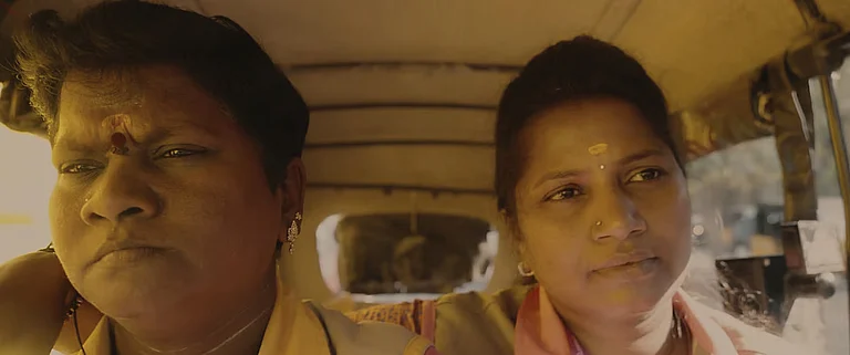 Still - Storiculture