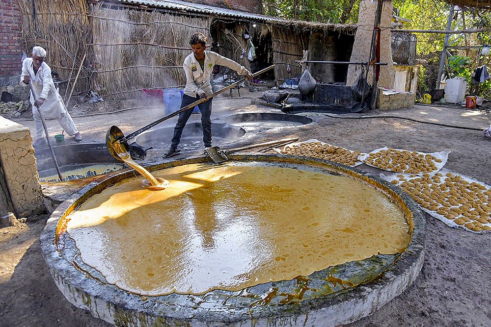 Jaggery making in Dehradun