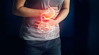 Everyday Chemicals May Be Poisoning Our Gut, Cambridge Study Warns