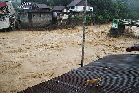 A cat walks on the roof of a house near a bridge and buildings damaged in flooding in Tanah Datar, West Sumatra, Indonesia.