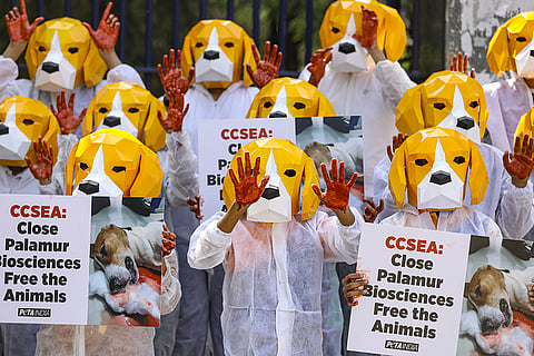People for the Ethical Treatment of Animals (PETA) India activists, along with schoolchildren wearing beagle masks, stage a protest demanding release of dogs and other animals allegedly confined, in Hyderabad.
