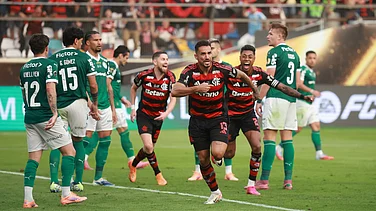 Palmeiras 0-1 Flamengo, Copa Libertadores: Danilo Clinches Major Win In Tight Contest