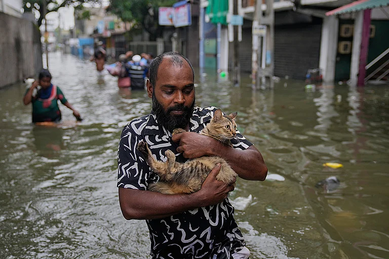 A man wades through a flooded road carrying a cat in Colombo, Sri Lanka. - | Photo: AP/Eranga Jayawardena