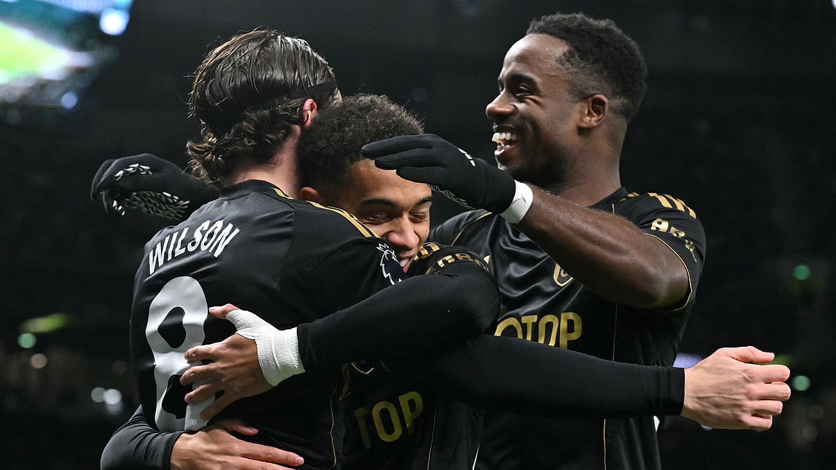 Fulham's players celebrate during their win over Tottenham - null