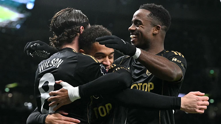Fulham's players celebrate during their win over Tottenham - null