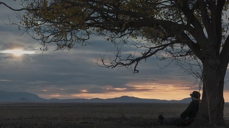 Cutting Through Rocks Still